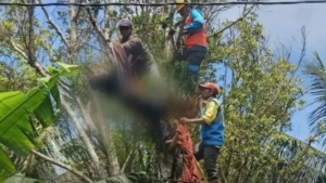 Pemuda di Moga Pemalang Tewas Tersetrum Saat Tebang Pohon
